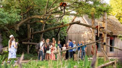 groep mensen in artis kijkt naar aapje in boom